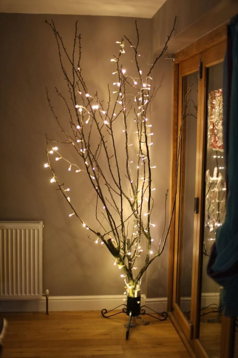 tree branch with lights